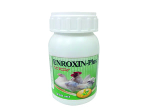 ENROXIN-Plus